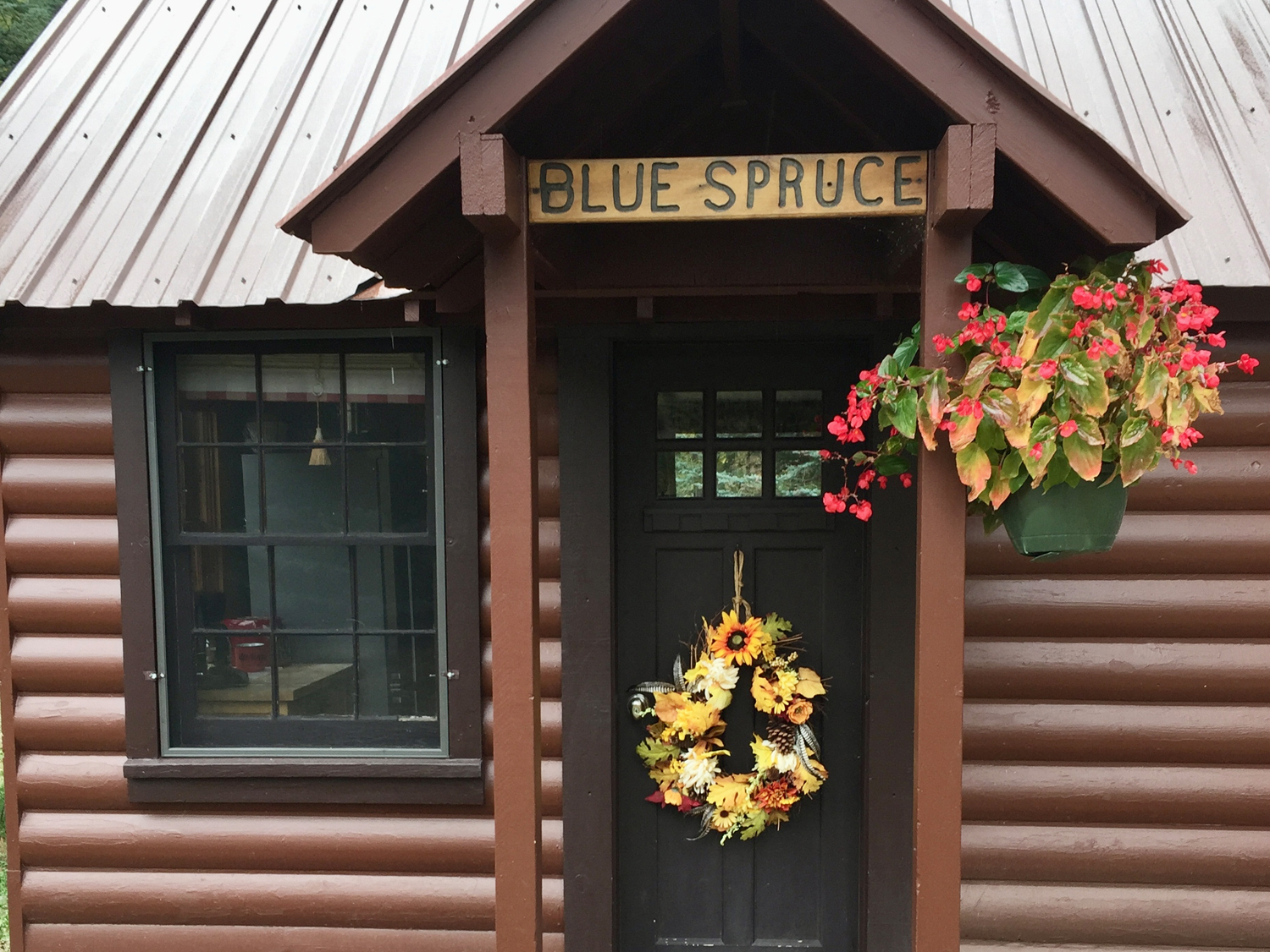 Bluespruce frontview