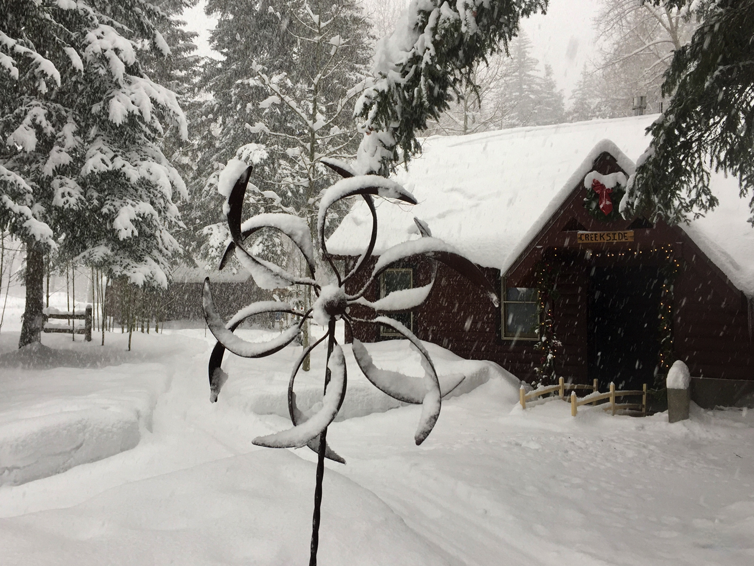 OBARO CreeksideWinter