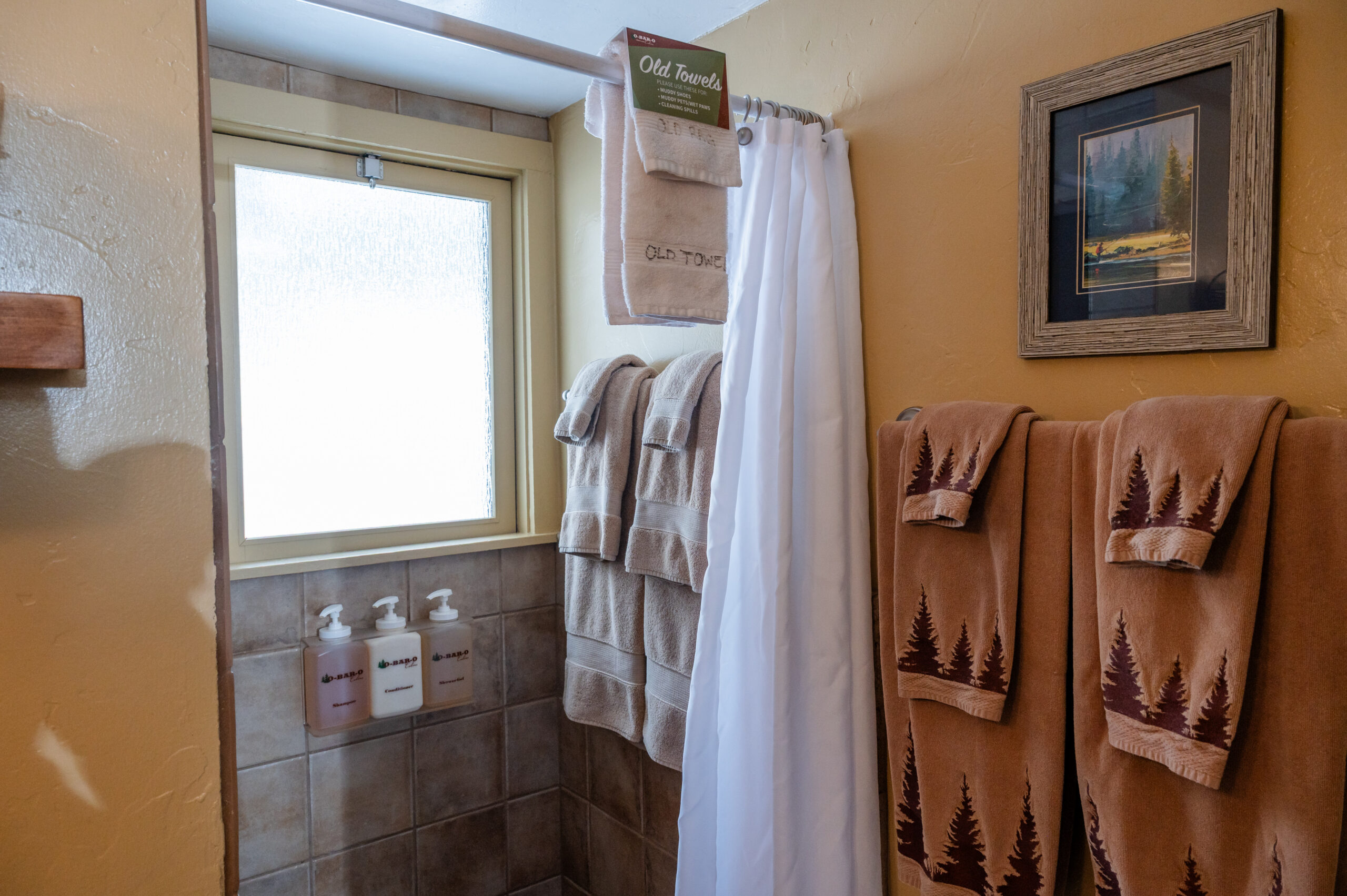 aspen bathroom