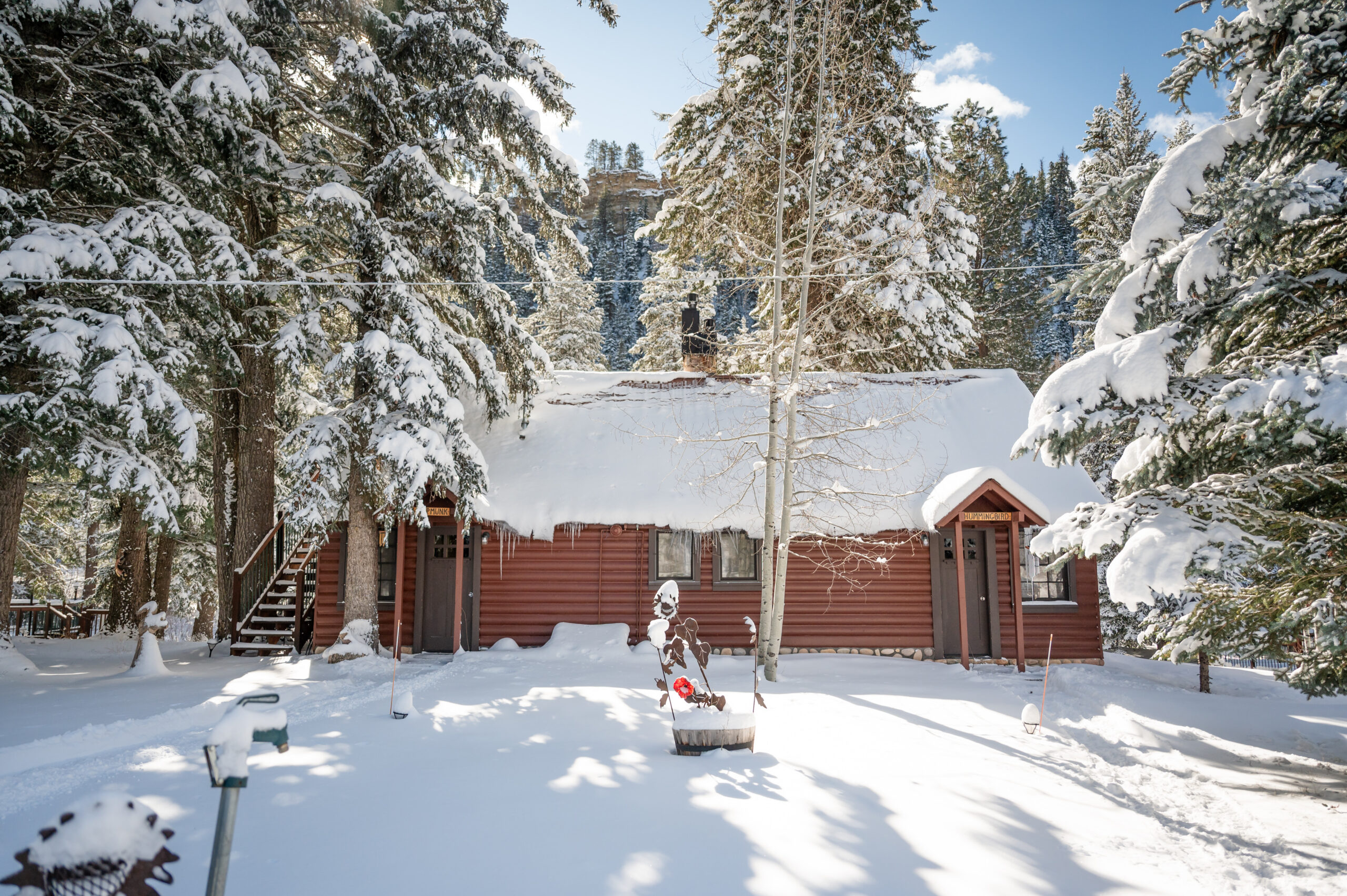 hummingbird winter exterior