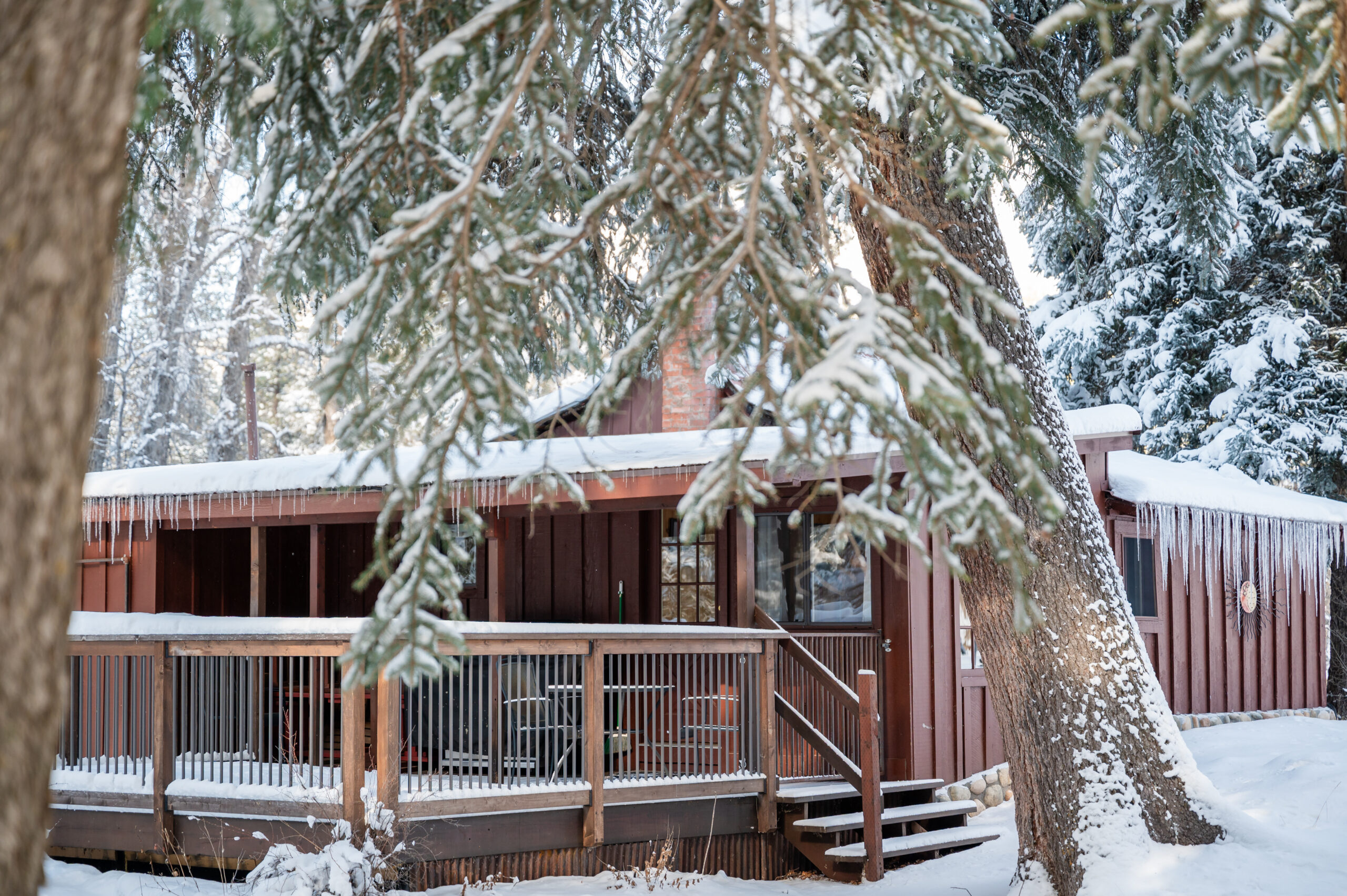 ponderosa backdeck