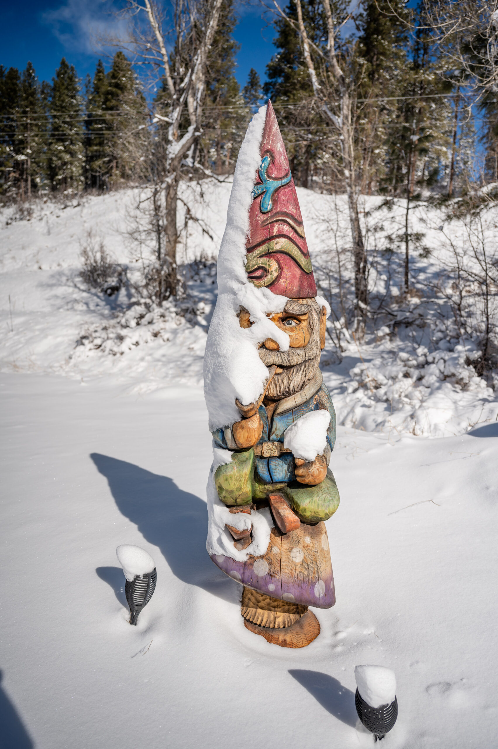 winter full gnome