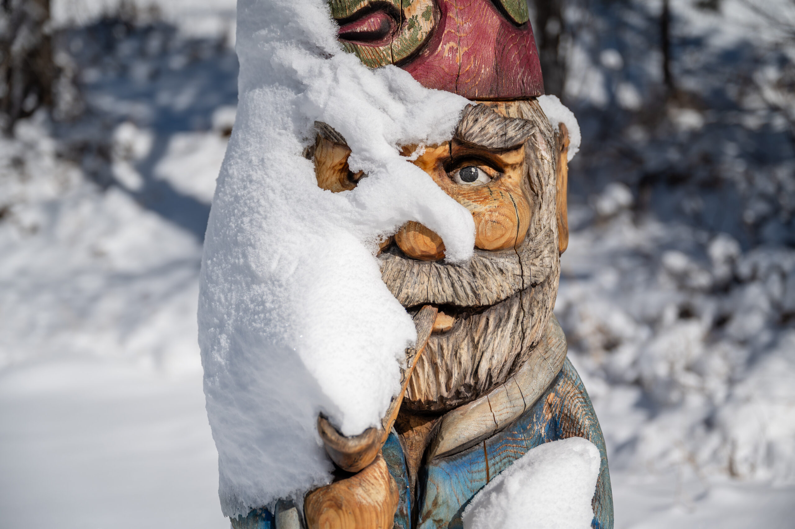 winter gnome