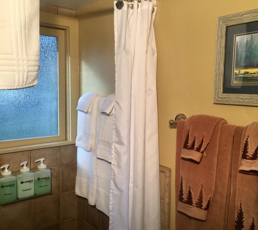 Aspen bathroom2
