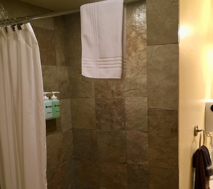 Birdsnest shower 1
