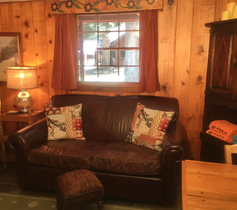 Chipmunk couch