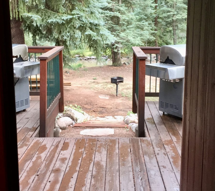 Chipmunk deck2