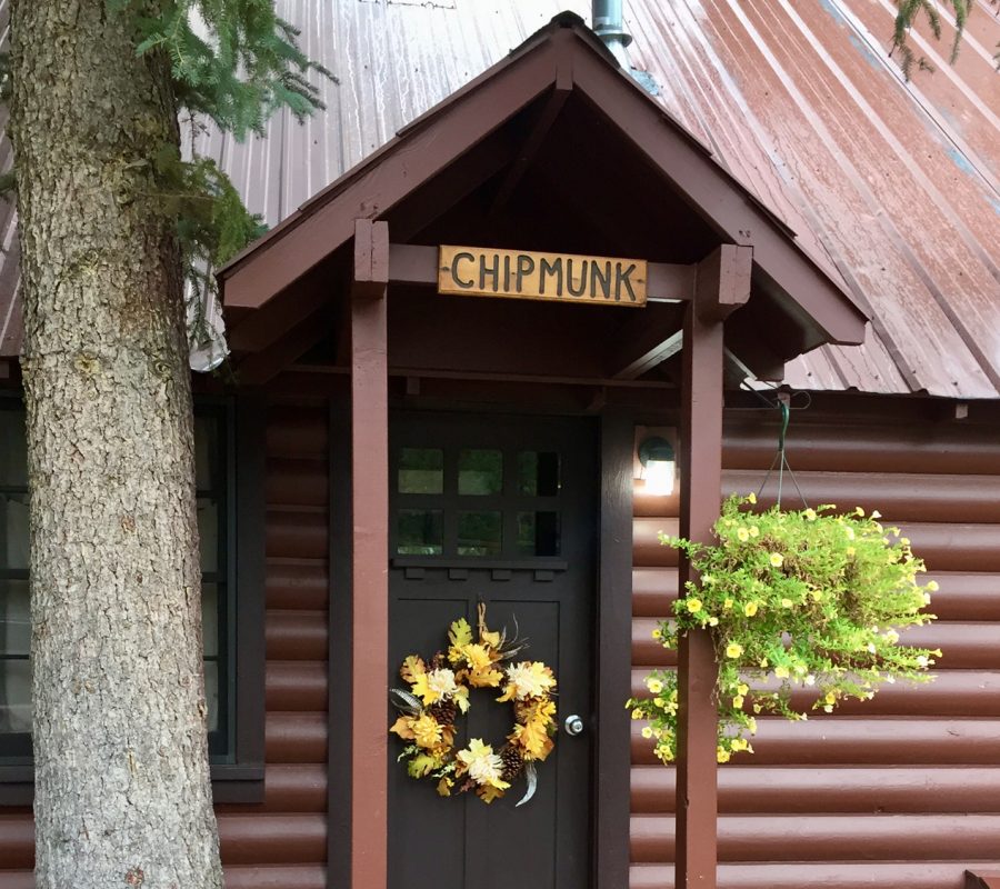 Chipmunk frontview