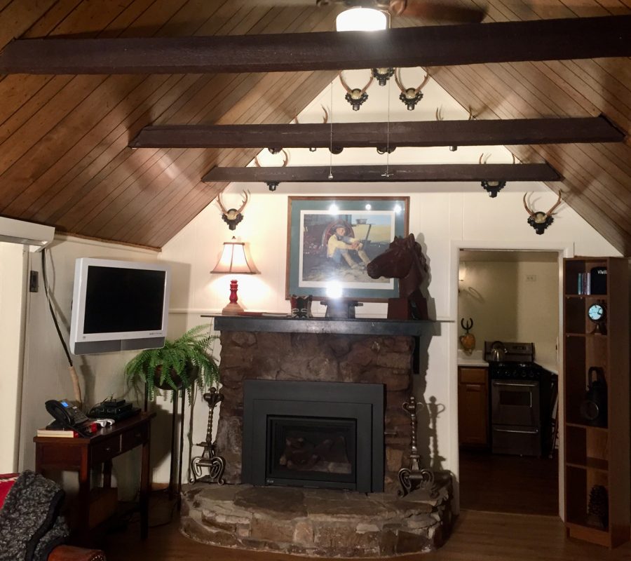 Ponderosa fireplace