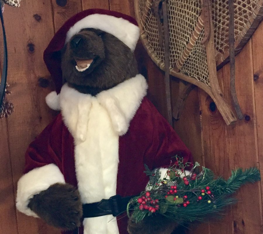 Riverview santa bear