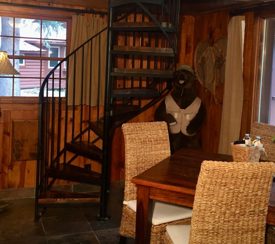 Riverview stairs bear