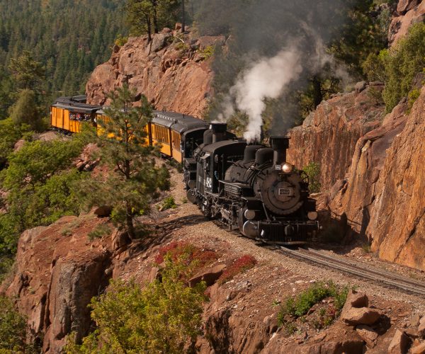 Train1 Train1