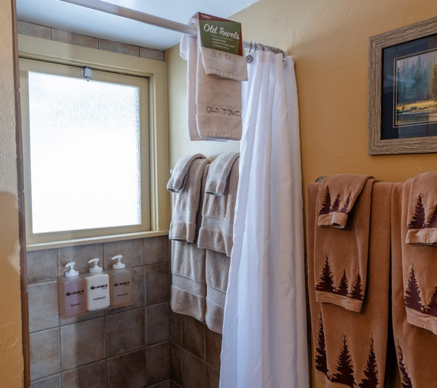 aspen bathroom