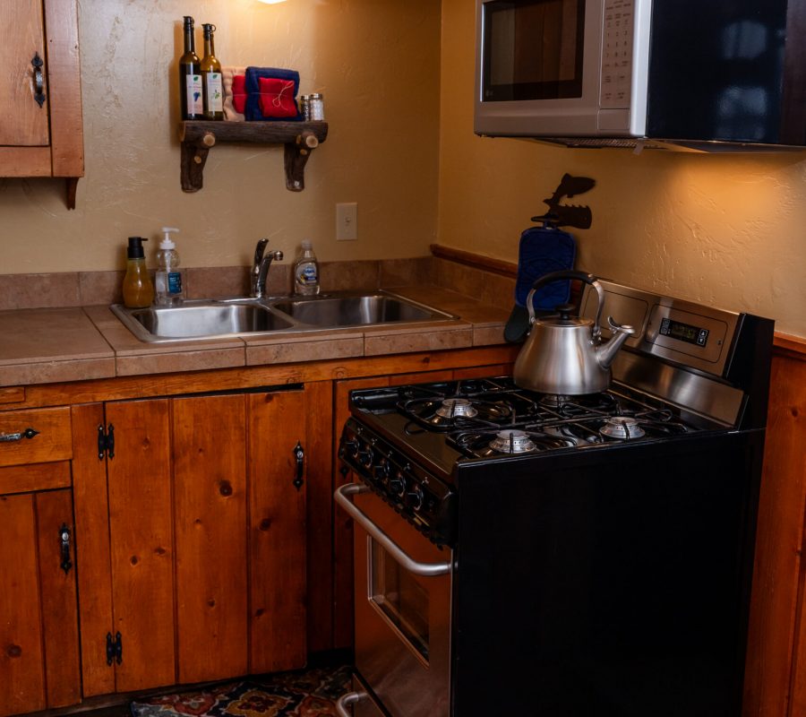 aspen kitchen2