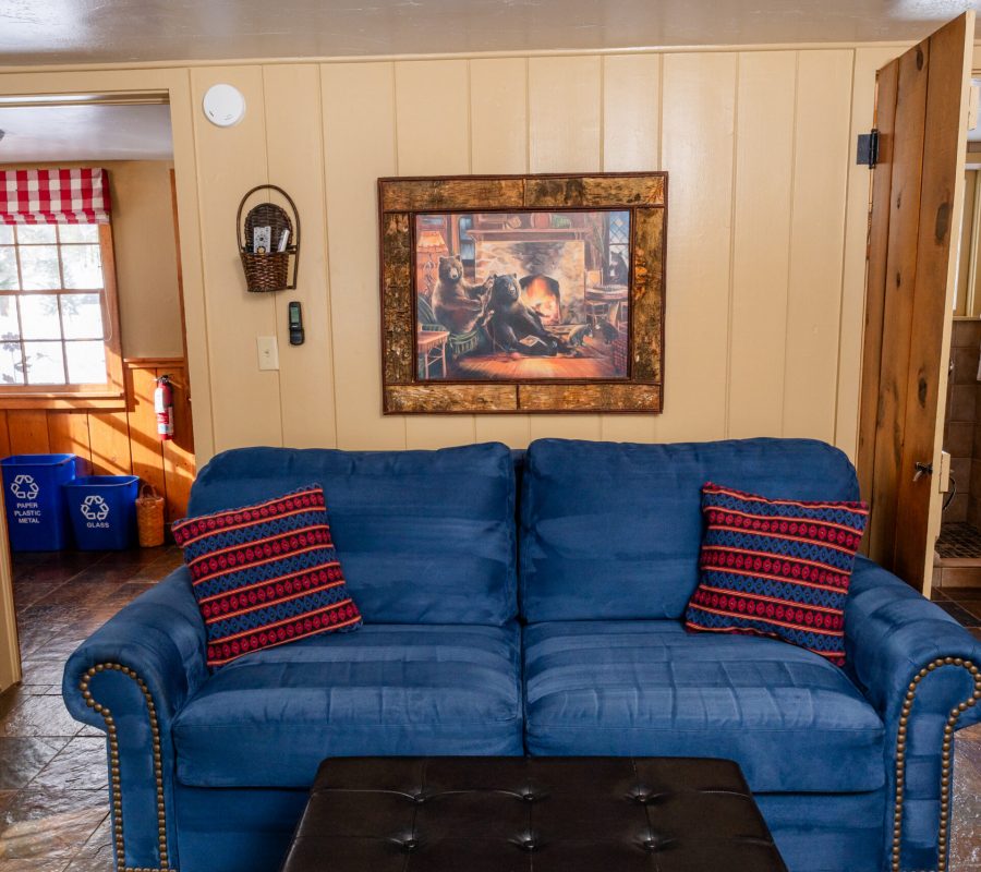 aspen sofa