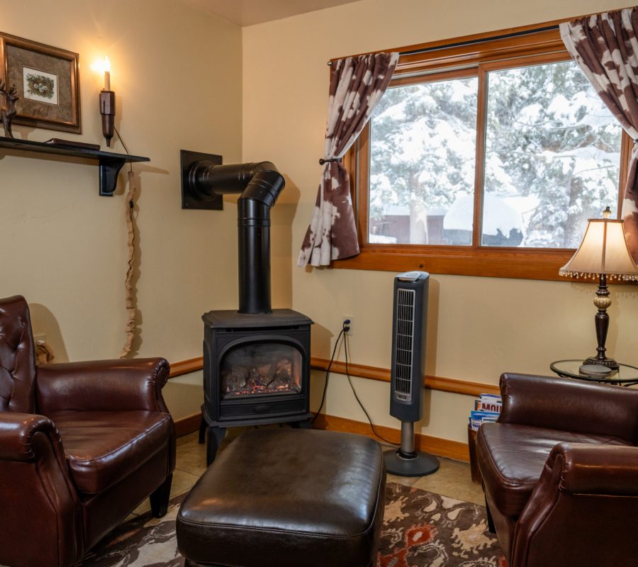 birdsnest living stove