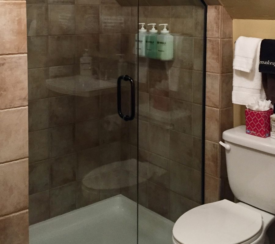 hummingbird shower